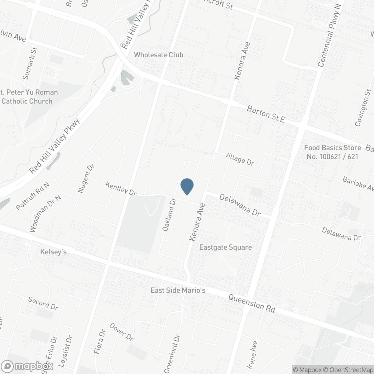 19 ELLINGWOOD AVENUE, Hamilton, Ontario L8E 1C1